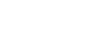 Brother Logo